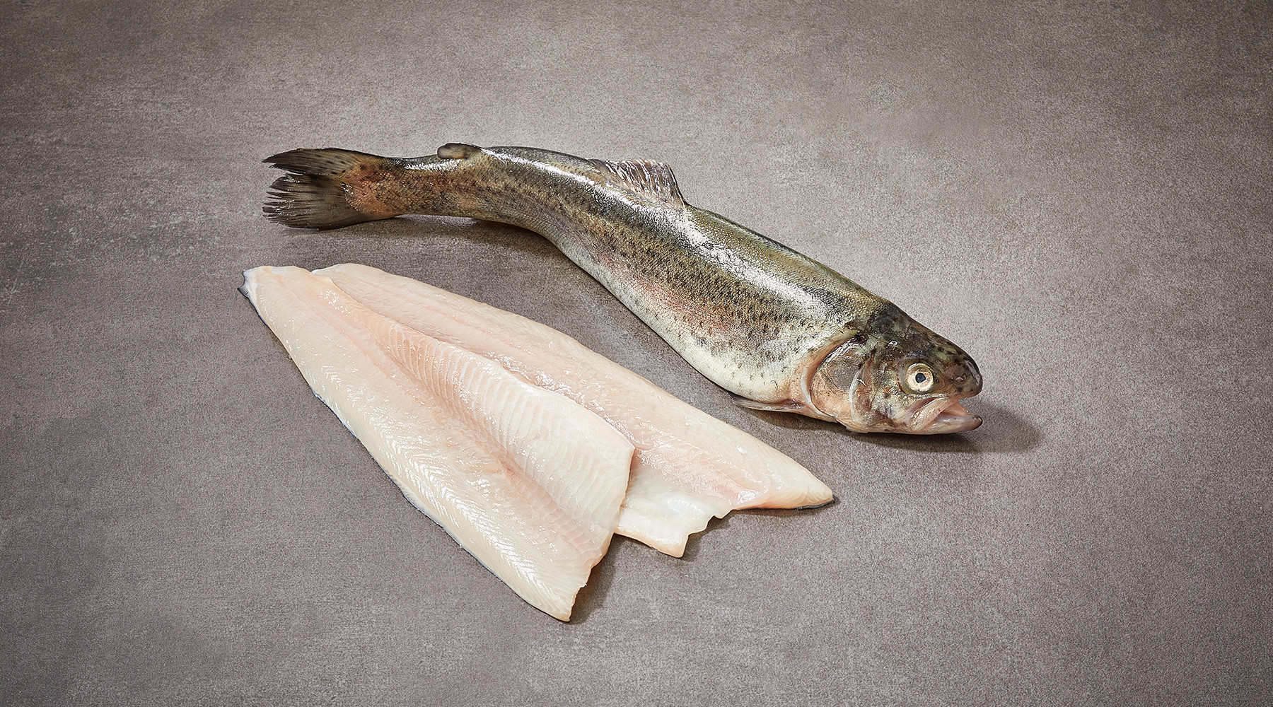 Forel